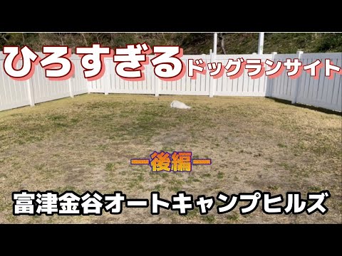 【ドッグランサイト】愛犬とキャンプ／富津金谷オートキャンプ/後編