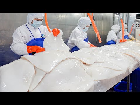 Processing Giant Humboldt Squid into Crayfish Salad Onigiri / 美洲大赤魷加工, 龍蝦風味沙拉製作 - Seafood Factory