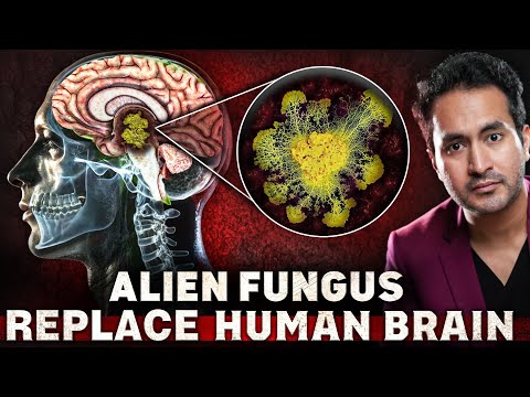 NEW FUNGUS Discovered That Can Replace HUMAN BRAIN