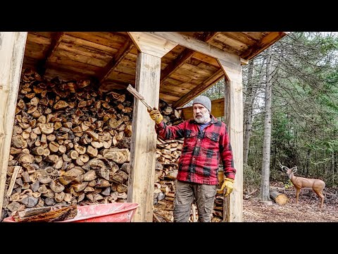 A Year's Worth of Firewood for Cooking and Heating - What is Good Wood and What's Not, Ep.6