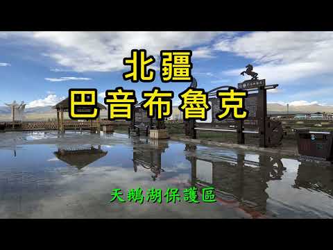 人間仙境北疆  巴音布魯克天鵝湖、九曲十八彎