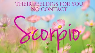 SCORPIO love tarot ♏️ There Is Someone Who Wants You Believe Them That They’re No Longer Confused