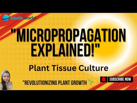 "Micropropagation Made Simple: Unlock the Secrets of Plant Tissue Culture 🌱✨" BIOTIC WORLD