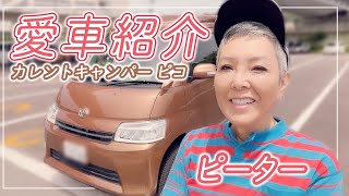 【愛車紹介】キャンピングカーのカレントキャンパー ピコでお出かけ！【ピーター/池畑慎之介】