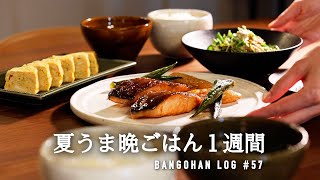 【1週間の献立】夏のコスパ◎晩ごはん / 暑い日も楽に作れる簡単レシピ / 夏野菜使い切り5日間🎐