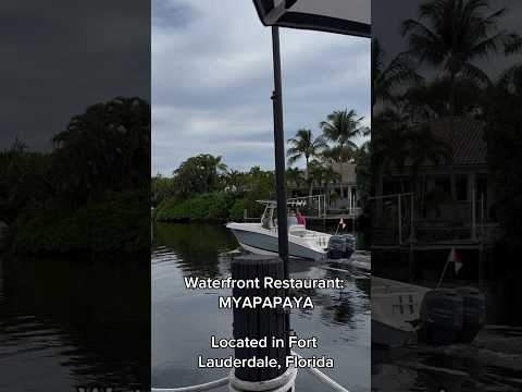 MYAPAPAYA restaurant in Fort Lauderdale #fortlauderdale #florida #realtor #realestate