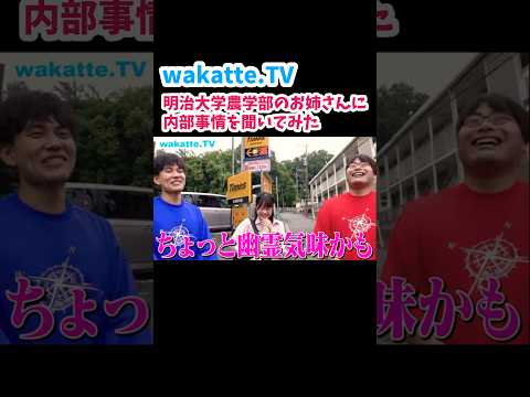 【明治農学部のお姉さんに内部事情について聞いてみた】明治大学生田キャンパス調査【wakatte.TV切り抜き】#wakattetv #明治大学 #農学部 #東京農業大学 #大学受験