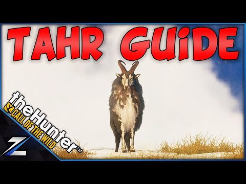 Tahr Grind Guide - How I Spawned a GO Tahr AFTER The Update!