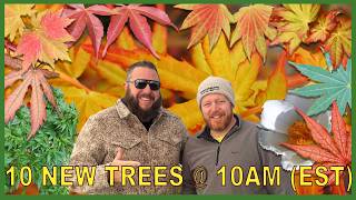 Riveting Rare Japanese Maples and Woody Ornamentals | 10@10am(EST) w/Tim and Matt | January 7th 2025