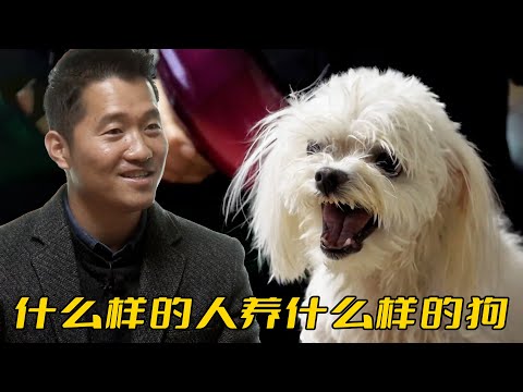 孫女養的狗只對阿嫲大呼小叫，訓犬師卻說狗隨主人，從自身找找原因