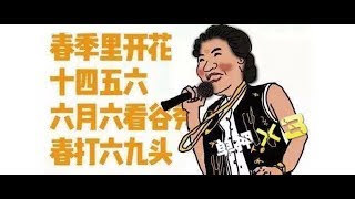 【私椟】中国第一女Rapper赵丽蓉《如此包装》