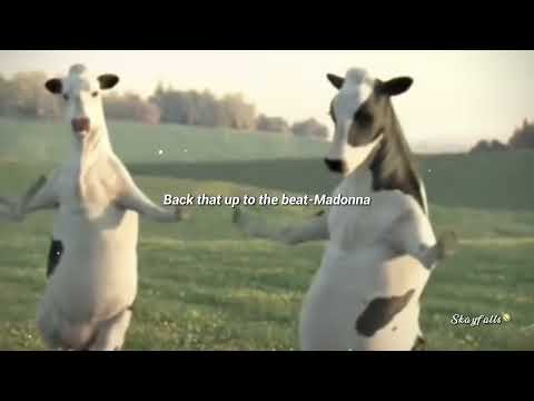 Back that up to the beat (sped up) [Cows dance]