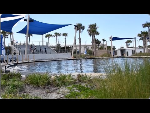 Dolphin Oasis Walkthrough - Gulfarium Marine Adventure Park - November 29, 2024