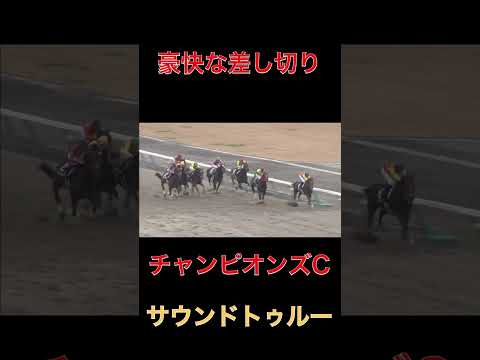 豪快な差し切りサウンドトゥルー【チャンピオンズC】#競馬#チャンピオンズカップ