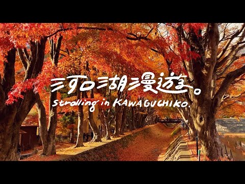 【Strolling in Kawaguchiko】2020 Foliage Season in Japan