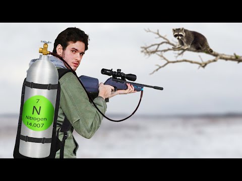 Hunting with a Nitrogen Powered Rifle!