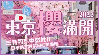 東京櫻花2022🌸🌸漫步滿開賞櫻秘境！日本橋三越前站的粉紅阿龜櫻大道！三月初到中盛開｜日本4K散步VLOG