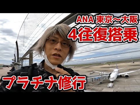 ANAプラチナ修行！東京大阪間で4往復搭乗【SFC修行】羽田空港〜伊丹空港 2022