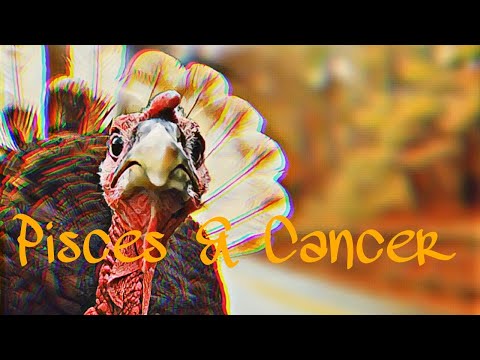 ♓️PISCES DEALING W/ CANCER♋️NEXT 10 DAYS🦃KNOWING WHAT HAS 2 B DONE BUT IT WON'T BE EASY/ REGRET