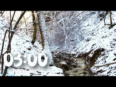 End Your Day with Calming 3 Minute Winter Scenery Countdown with Relaxing Music and Silent Alarm