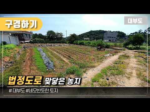 (구경하기 No.1111) 법정도로 맞닿은 농지 / 대부도부동산