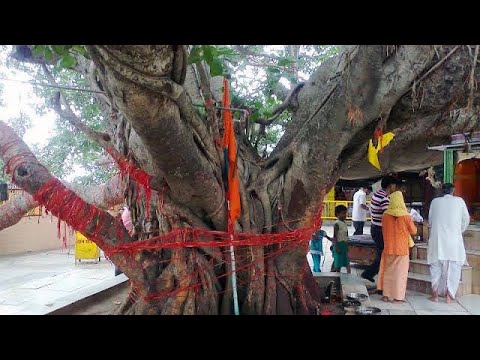 Shri Haridwar Yatra part 1 - shukratal #sukratal @anandeshwari