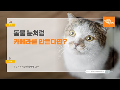 24.11.08 금요일에 과학터치(광주) - 동물 눈처럼 카메라를 만든다면?