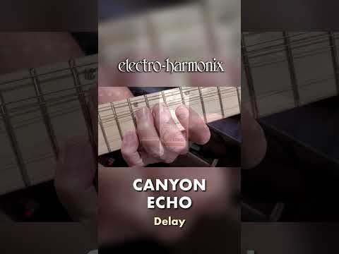 EHX Pico Canyon Echo Digital Delay Pedal Demo