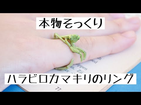 いきものアクセサリー作家が本気で作るハラビロカマキリ