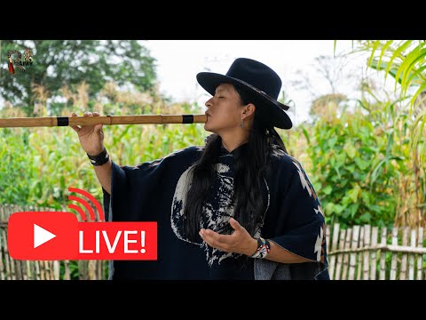 Andean Live Music from Nature for Relax