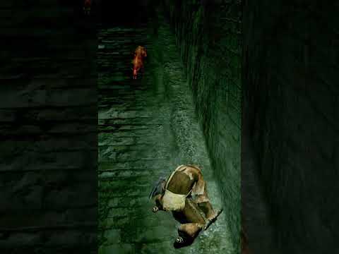 Dark Souls Top Tips (#32) #darksouls #darksoulsremastered #shorts