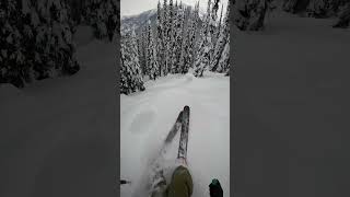 Follow for more powder skiing content #skibum #skiing @4frntskis @dakine #skiing #skiingislife