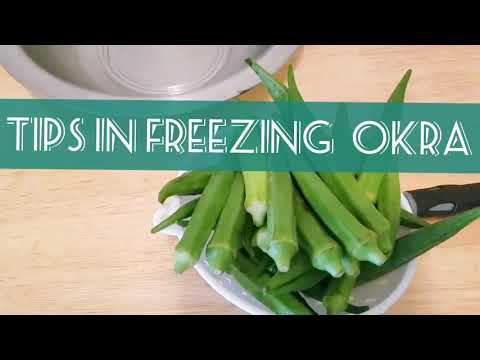 How to freeze and store okra step by step|storing ladysfinger |vendaikai freeze seivathu eppadi