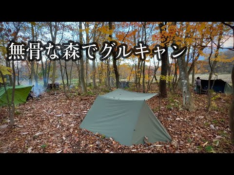 【ソロベース】紅葉と落ち葉を楽しむ晩秋グルキャンプ【直火キャンプ】