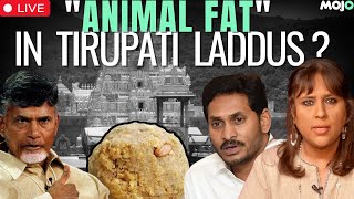 Tirupati Laddu Controversy I Amid Beef Fat, Fish Oil Charge, Its Chandrababu vs Jagan Reddy I Barkha