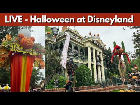 Halloween Time at Disneyland 2023