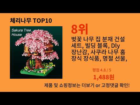 체리나무 알리익스프레스 베스트셀러 꿀템 BEST 10