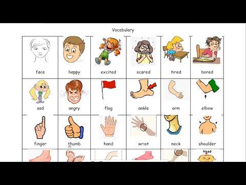 هااااااام مراجعة قبل الامتحان للغة الانجليزية الصف السادس