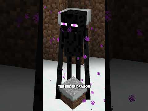 Endermen Look Different