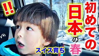 Japanese Family in Hokkaido | A day in the life of Japanese Family