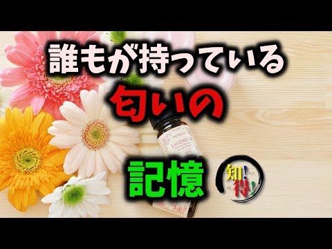 ◆知っ得◆雑学　においで昔の記憶が蘇る仕組み