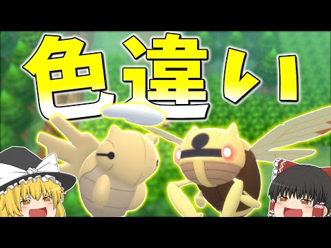 【ポケモンBDSP】一匹の色違いから色違いポケモンが二匹ゲットできるらしい 【ゆっくり実況】#ポケモンBDSP #色違い #ゆっくり実況 #ダイパリメイク