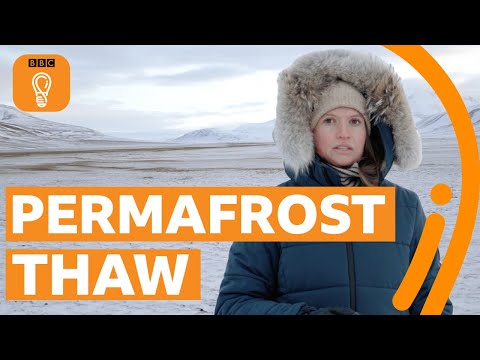 What happens when the permafrost thaws? | BBC Ideas