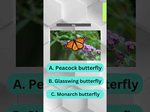 Epic Insect Quiz Challenge! Part 3 #viral #quiz #trending #shorts