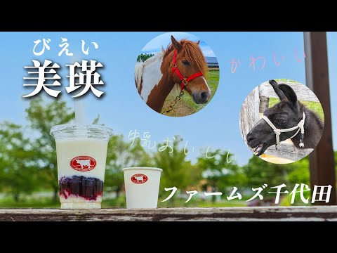 【癒し】かわいい動物においしい乳製品｜ファームズ千代田