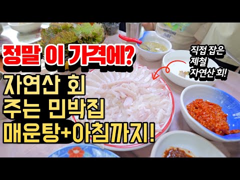 직접 잡은 자연산 회+바다+숙박을 모두 한번에 해결 가능한 민박집ㅣ가성비 갑! 밥 잘주는 민박집 추천ㅣ특별한 해초쌈과 함께 먹는 자연산 회 맛집