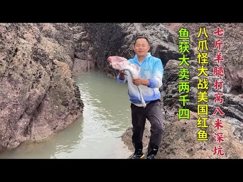 【阿向趕海】 7斤的羊腿丟進8米深坑 八爪怪大戰美國紅魚 魚獲重30多斤大賣2400