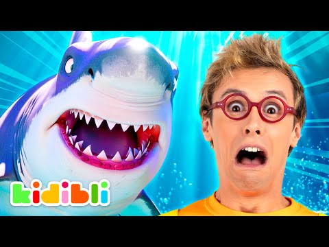 Let's meet and feed Sharks! | Educational Videos for Kids | Kidibli