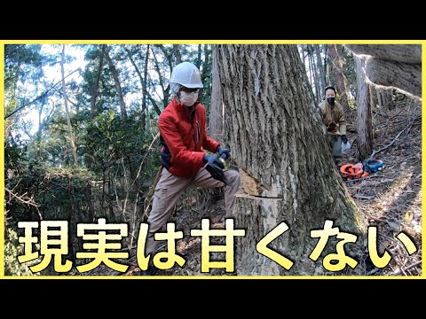 山開拓の不都合な現実【山開拓】#52