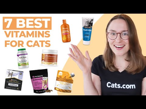 7 Best Vitamins and Supplements for Cats (We Tried Them All!)